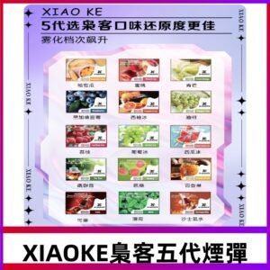 梟客五代煙彈|XIAOKE可替換式電子煙|通用Relx6代|ILIA五代主機