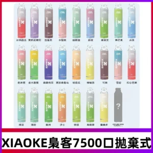 梟客XIAOKE|7500口可發光拋棄式電子煙 跑馬燈一次性